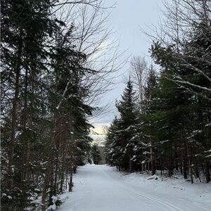 Meet your Posher, Carmelita